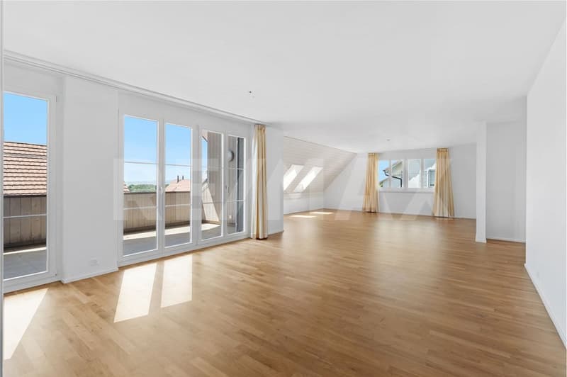 Appartement maisonnette 6 ½ pièces avec vue sur les montagnes - vie familiale près du lac de Türlersee (3)