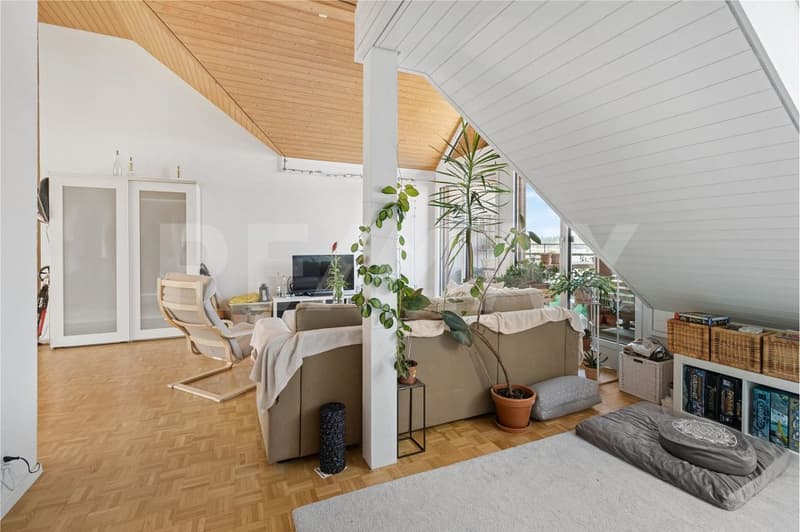 Grosszügige 4½-Zimmer Dachwohnung Licht, Weitsicht und Stil (11)