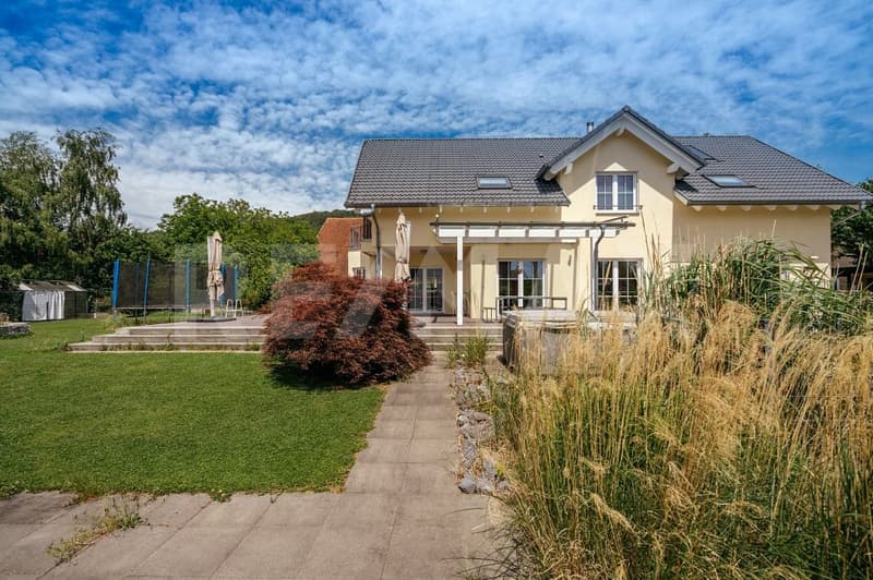 Exklusives 9.5 Zimmer Einfamilienhaus in Schlattingen, TG (4)