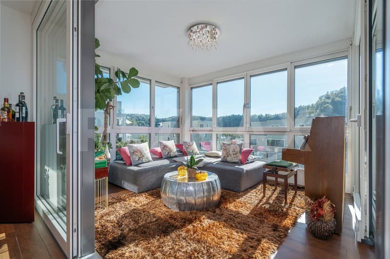 Viel Raum für ein Wohnen mit Weite: 6½-Zimmer-Wohnung am Sonnenhang (6)