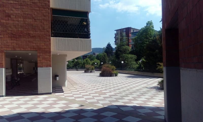 AFFITTASI APPARTAMENTI 3,5 LOCALI RISTRUTTURATI (2)
