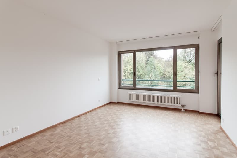 AFFITTASI APPARTAMENTI 3,5 LOCALI RISTRUTTURATI (5)