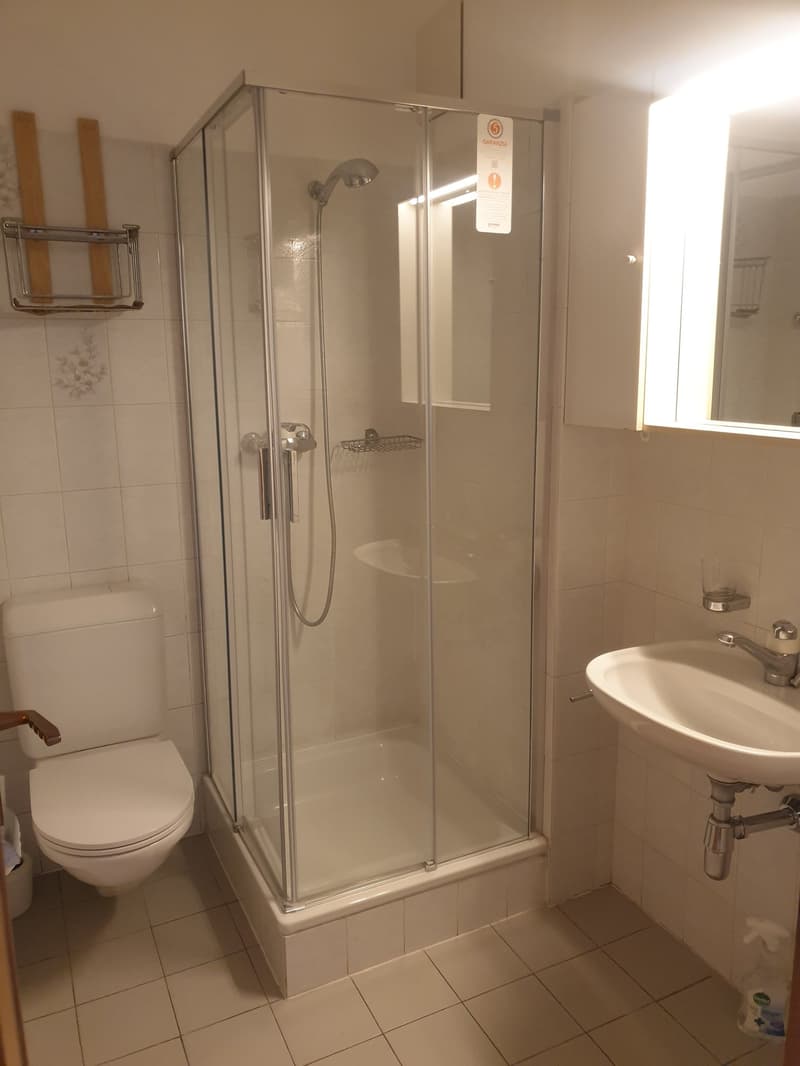 Helles Apartment mit Balkon in Chiasso (9)