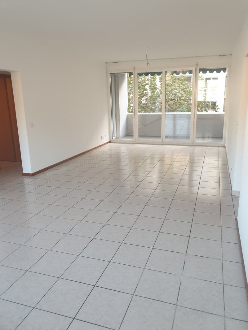 Helles Apartment mit Balkon in Chiasso (2)