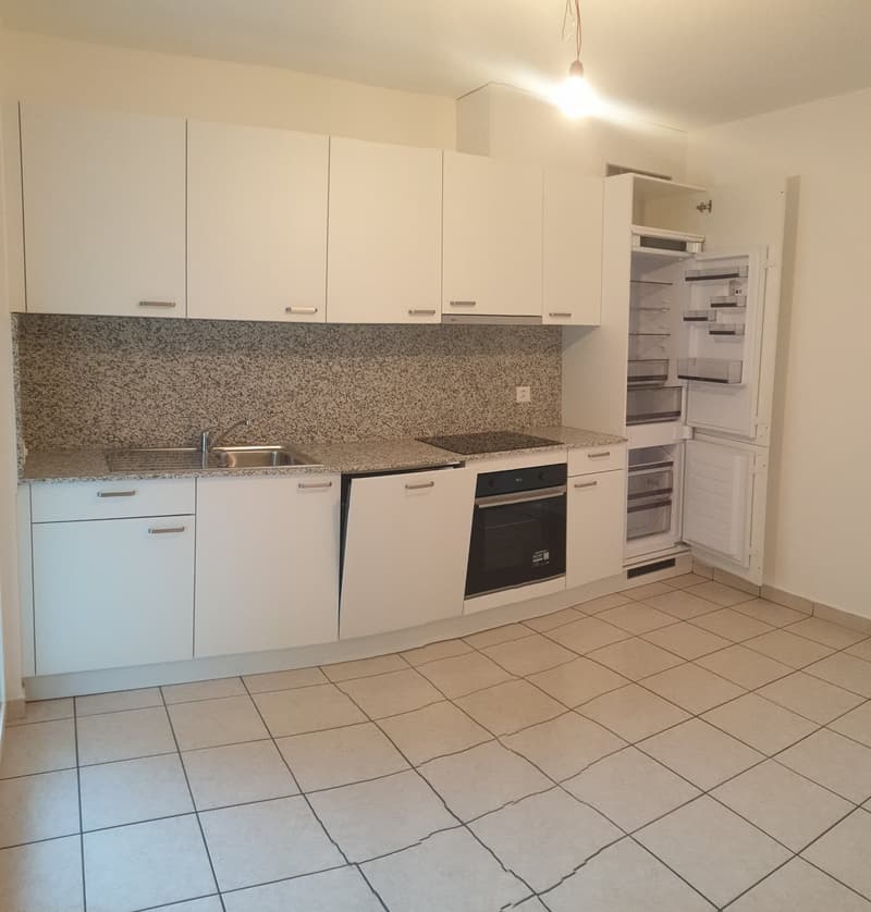 Helles Apartment mit Balkon in Chiasso (5)
