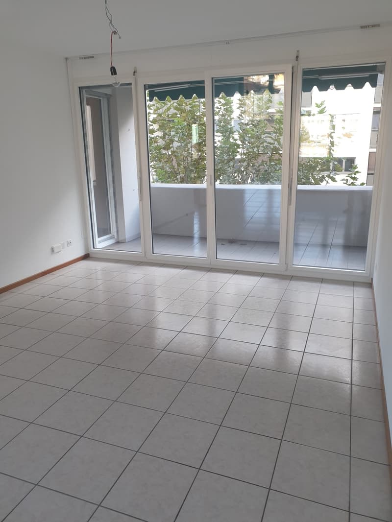 Helles Apartment mit Balkon in Chiasso (3)