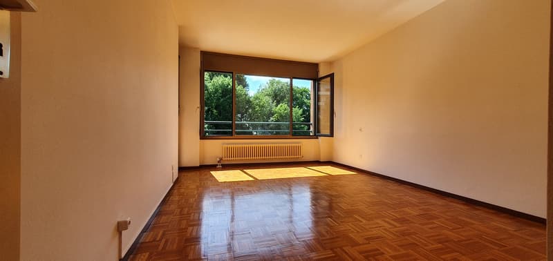 large room, wooden floor, radiator, large window, balcony