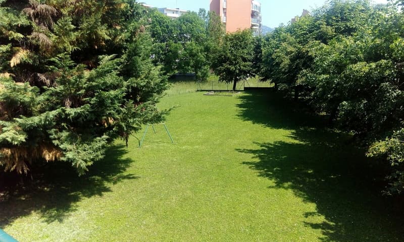 well-kept lawn, trees, visible buildings