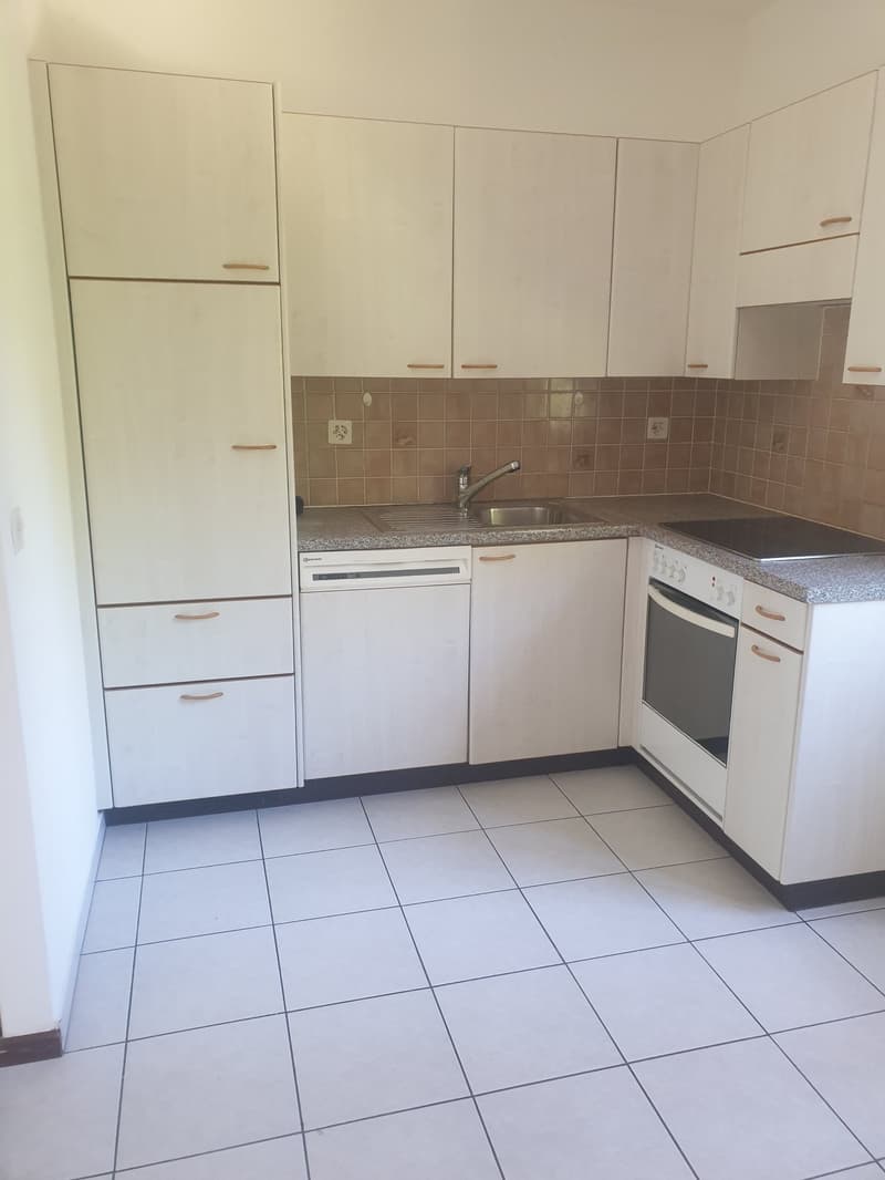 Apartment with 3.5 rooms, balcony and outdoor pool in Morbio Inferiore (4)