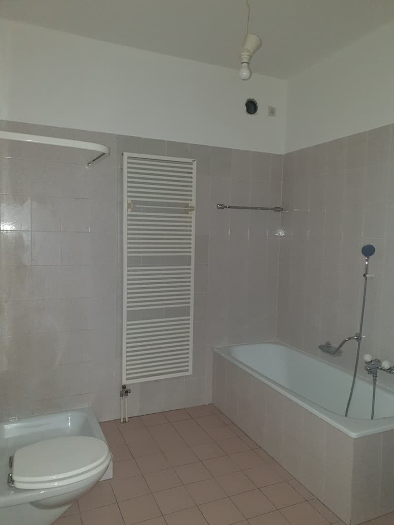 Wir vermieten 4.5-Zimmer-Wohnung - Im zentralen Kern (8)