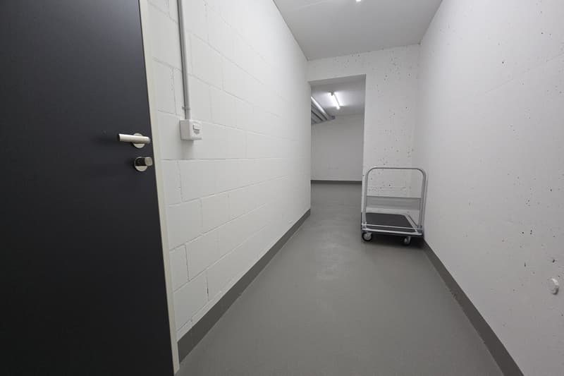 empty room with grey floor and white walls, trolley, open corridor, power outlet