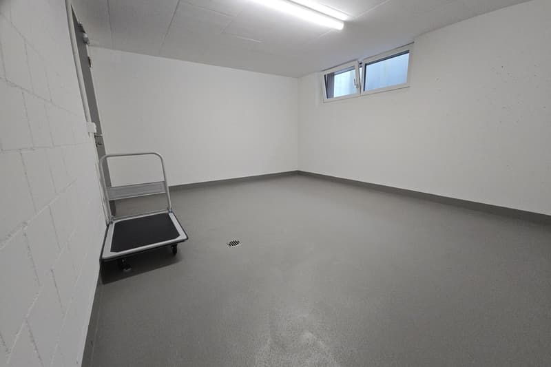 Empty room with grey floor, white walls, a window, a door, and a drain
