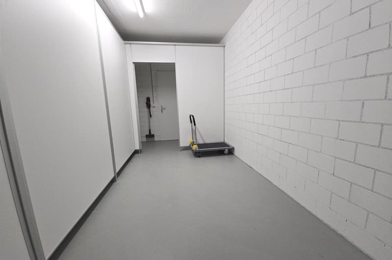Empty hallway with a trolley and a door leading to the room