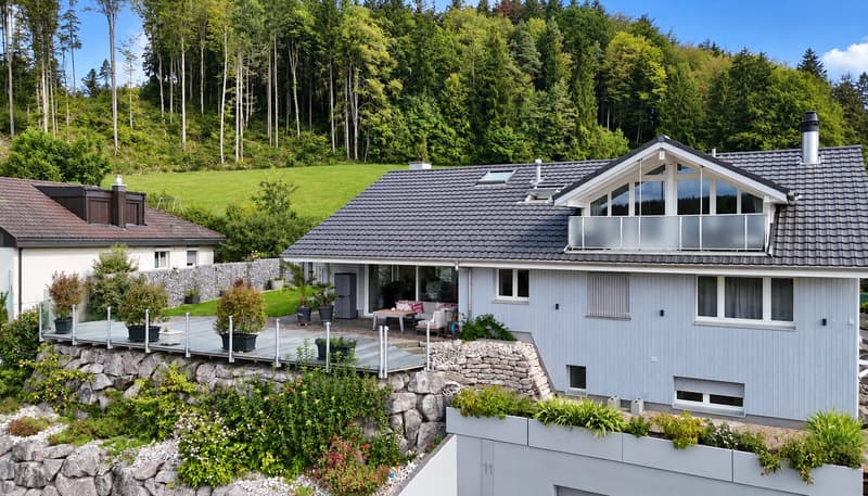 WOHNEN ÜBER DEN DINGEN – grosszügiges Anwesen mit Pool in Madetswil (Russikon) (3)