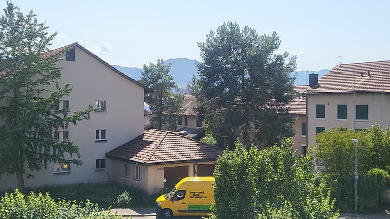 Schloss Rapperswil vom Balkon aus