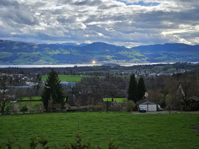 Zürichsee und Obersee