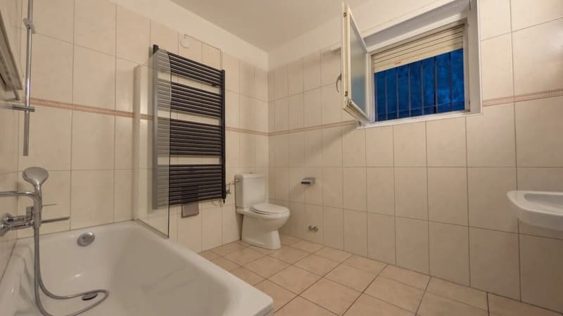 Elegantes 2.5-Zimmer-Wohnung mit großer Terrasse und Seeblick sowie Schwimmbad (7)