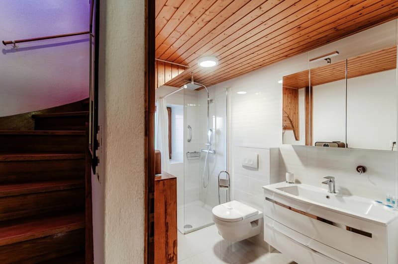 Gemütliches renoviertes Duplex in der Nähe des EOC in Bellinzona - Ferienhaus (13)