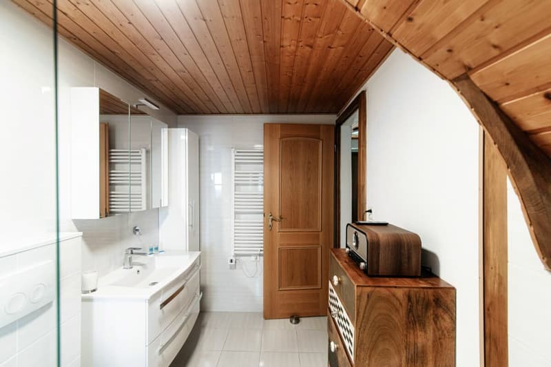 Gemütliches renoviertes Duplex in der Nähe des EOC in Bellinzona - Ferienhaus (12)