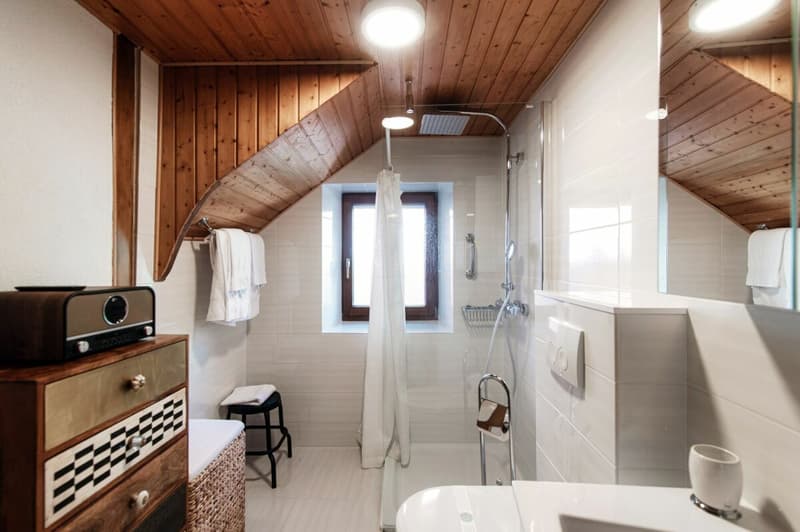 Gemütliches renoviertes Duplex in der Nähe des EOC in Bellinzona - Ferienhaus (11)