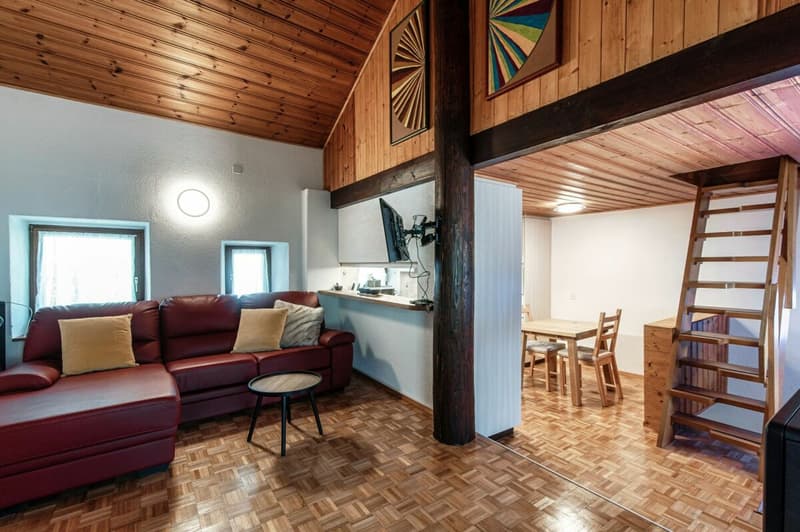 Gemütliches renoviertes Duplex in der Nähe des EOC in Bellinzona - Ferienhaus (2)