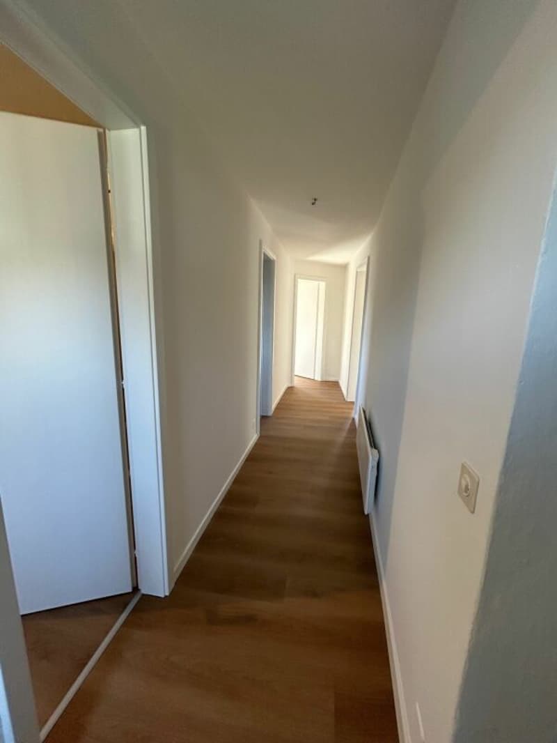 Schönes renoviertes Apartment (4)