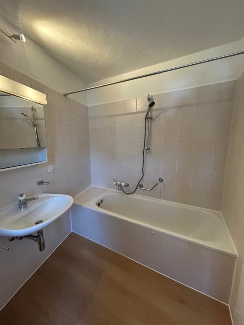 Schönes renoviertes Apartment (5)
