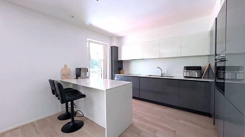 Bright apartment with garden and large terrace (7)
