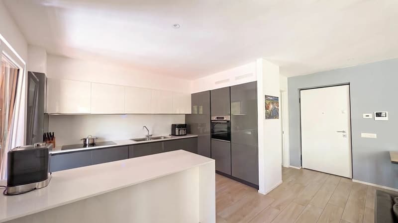 Bright apartment with garden and large terrace (5)