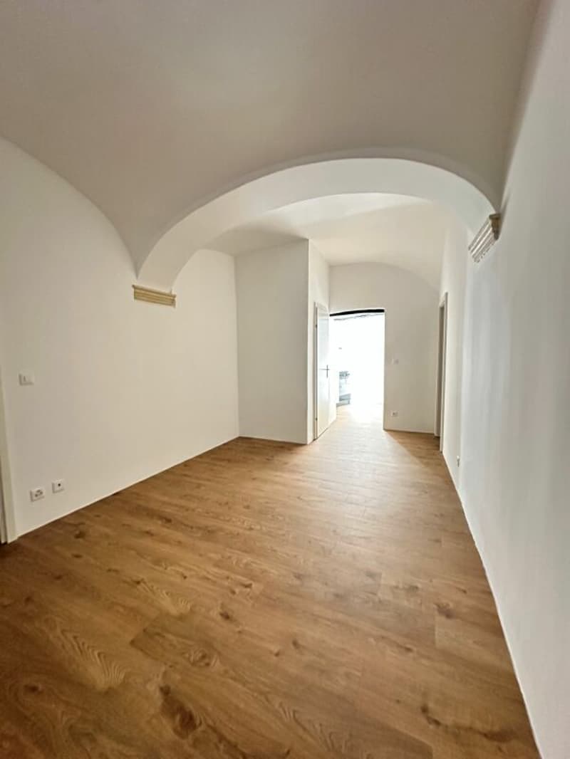 Zauberhaftes 3-Zimmer-Apartment in historischem Haus nahe dem See (2)