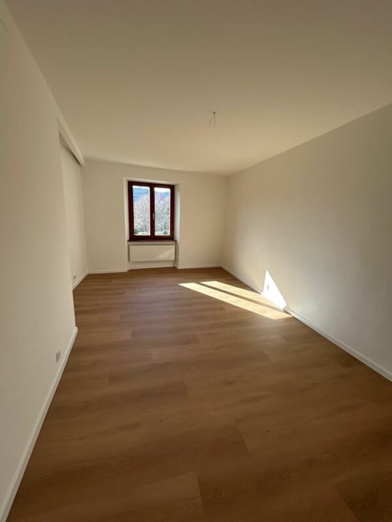 Schönes gerade renoviertes Apartment (3)