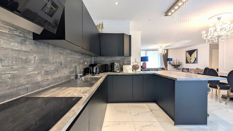 Prestigieux attique avec des espaces généreux et trois balcons panoramiques (8)