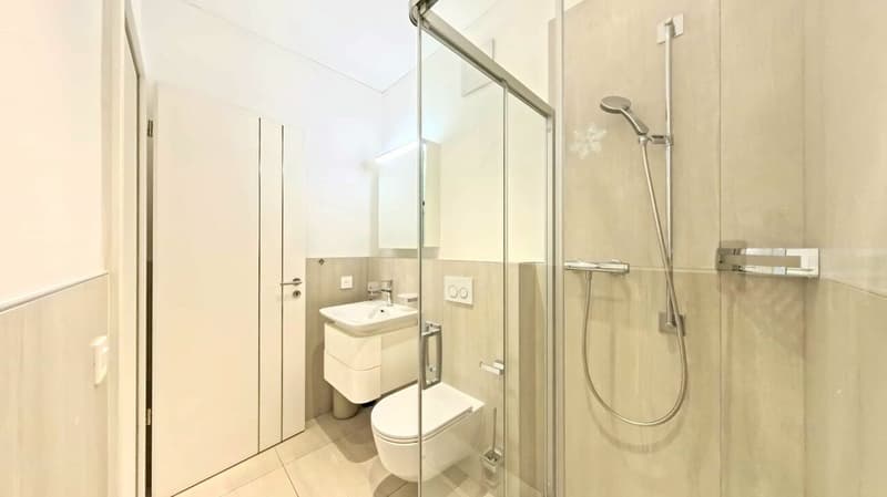 Prestigieux attique avec des espaces généreux et trois balcons panoramiques (17)