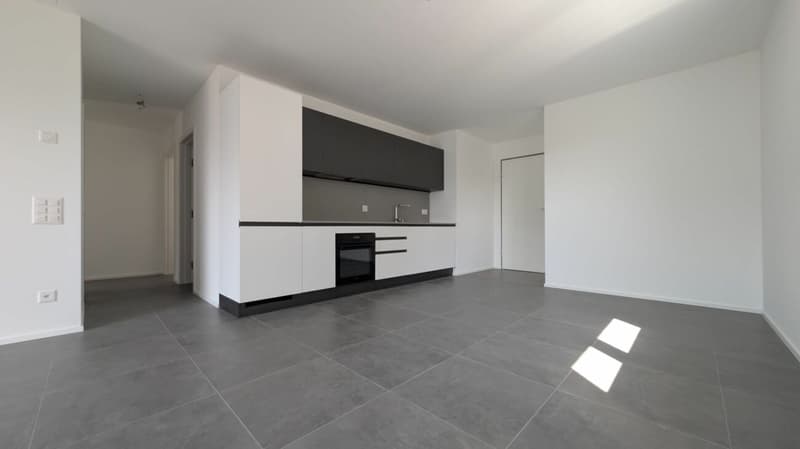 Spacious, modern design and new! (3)