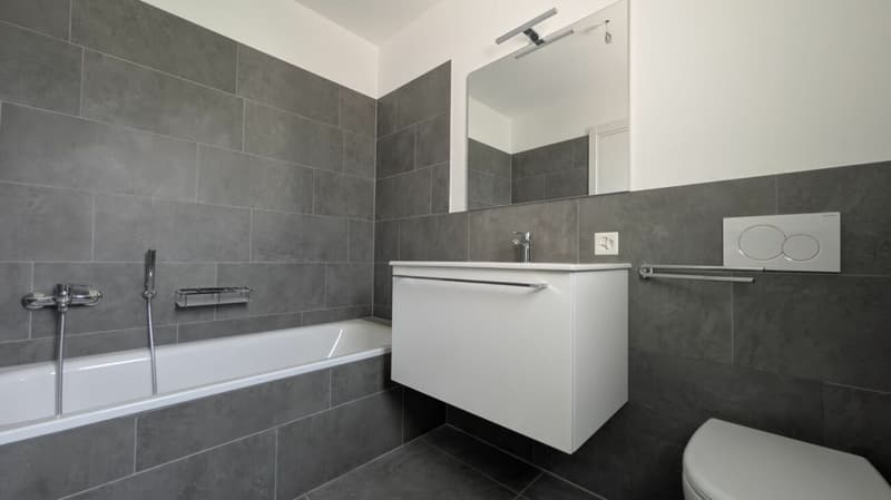 Spacious, modern design and new! (14)