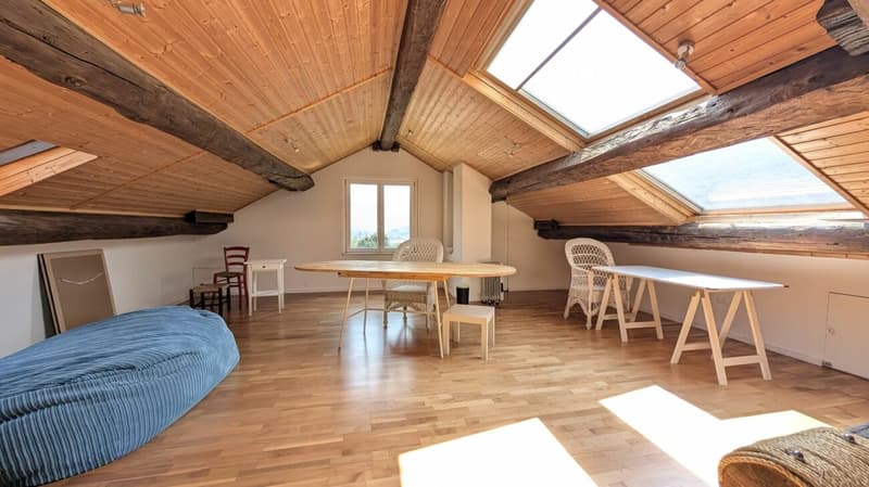 Casa di charme con giardino d'inverno e panorama sulle montagna (9)