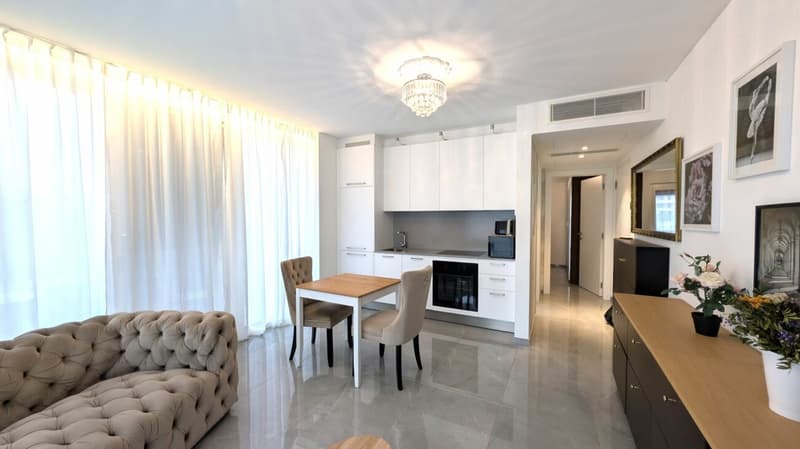 Elegante 2.5 locali arredato in palazzina moderna (2)