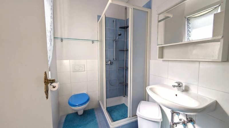 Eleganza urbana con vista sui castelli (12)