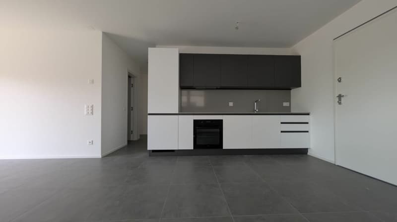 Giardino privato e design moderno (5)