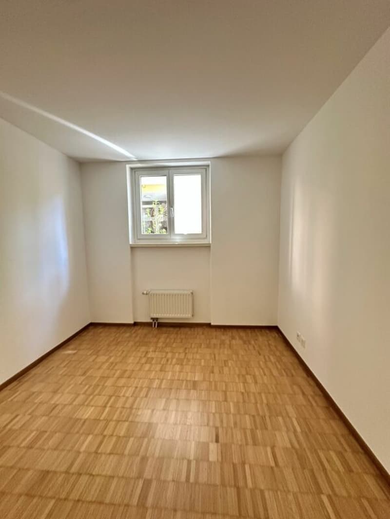 Appartamento di 3 locali con giardinetto (3)