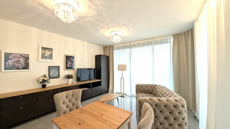 Elegante 2.5 locali arredato in palazzina moderna (4)