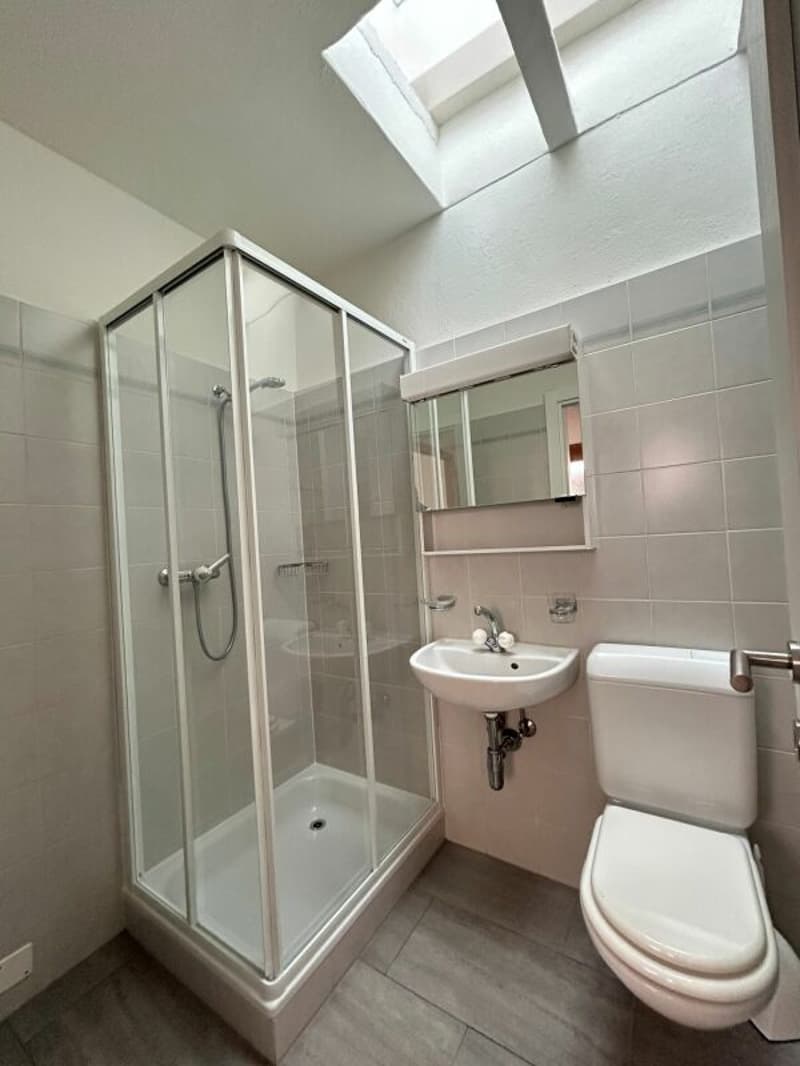 Atmosfera storica e comfort moderno a Caslano (5)
