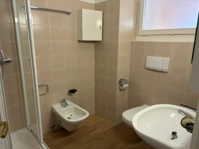 Atmosfera storica e comfort moderno a Caslano (4)