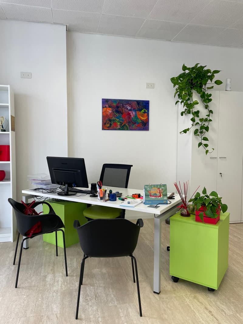 Chiasso - Bright Office on the Ground Floor with Shop Windows (3)