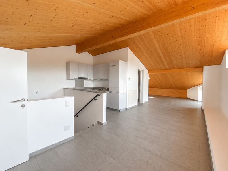 Manno-Elegante attico mansardato di 2.5 loc. completamente ristrutturato (9)