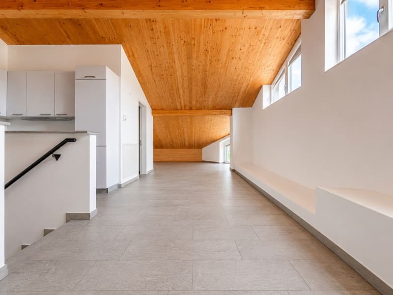 Manno-Elegante attico mansardato di 2.5 loc. completamente ristrutturato (10)