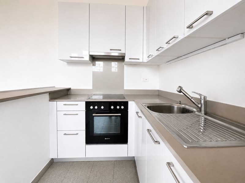 Manno-Elegante attico mansardato di 2.5 loc. completamente ristrutturato (5)
