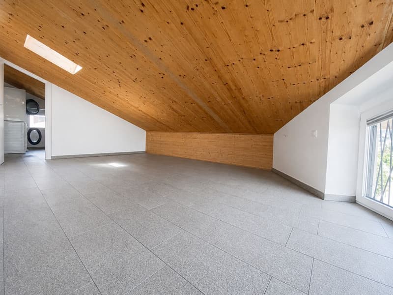 Manno-Elegante attico mansardato di 2.5 loc. completamente ristrutturato (11)