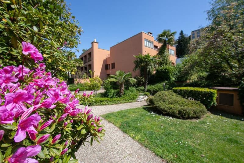 Montagnola - elegante appartamento di 3.5 loc Ristrutturato (6)