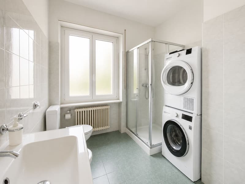 Lugano city center, spacious and bright 4.5 rooms (7)